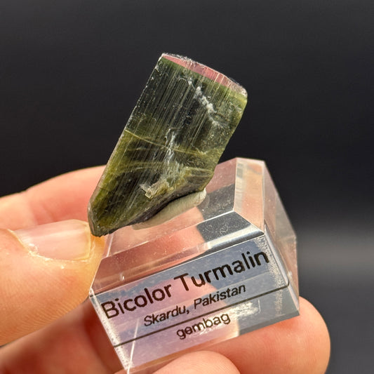 Bi-Color Turmalin GL098