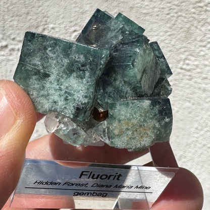 Fluorit - Hidden Forest Pocket GA399