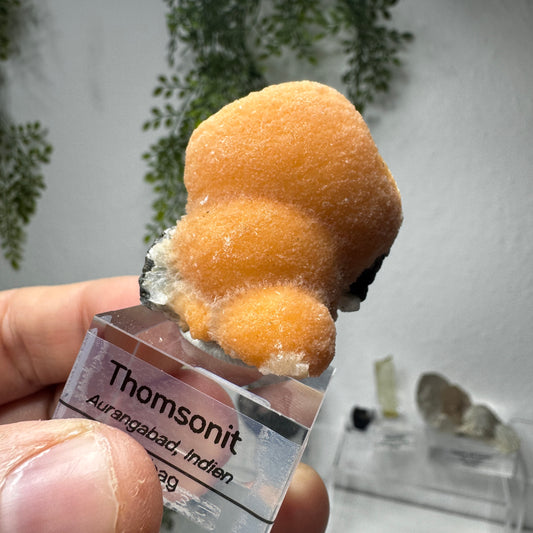 Thomsonit GL018