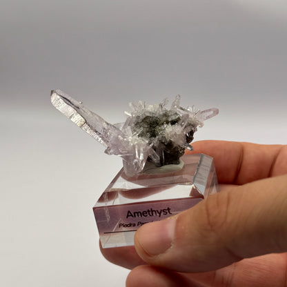 Veracruz Amethyst GC067