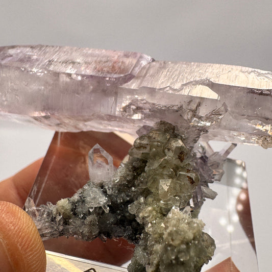 Veracruz Amethyst GC106