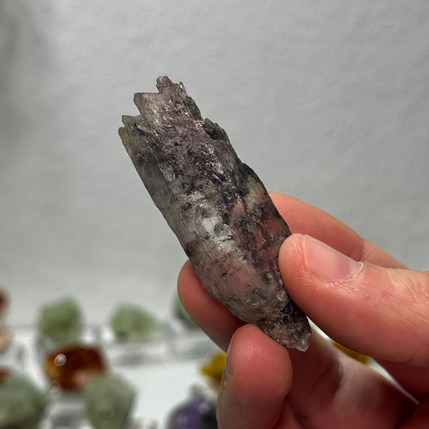 Selenit - Neufund GBSP07