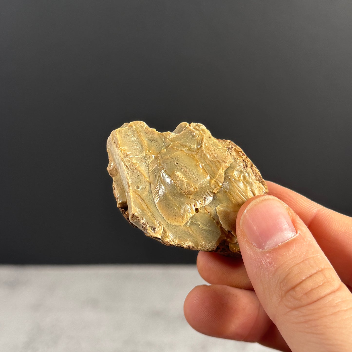 Blauer Bernstein GBR032