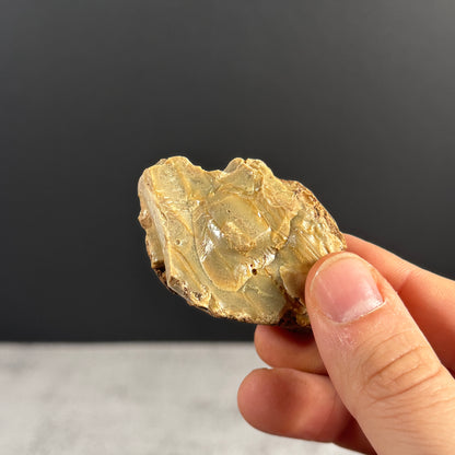 Blauer Bernstein GBR032