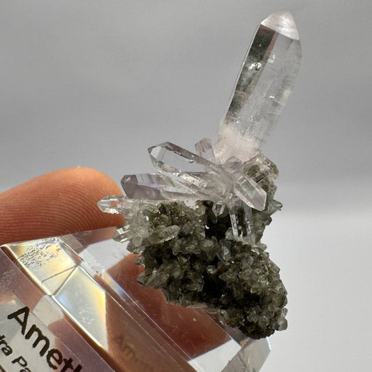 Veracruz Amethyst GC102