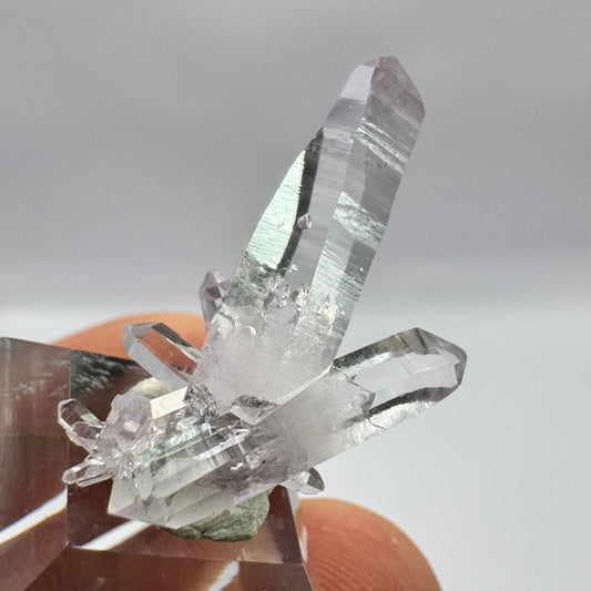 Veracruz Amethyst GC101