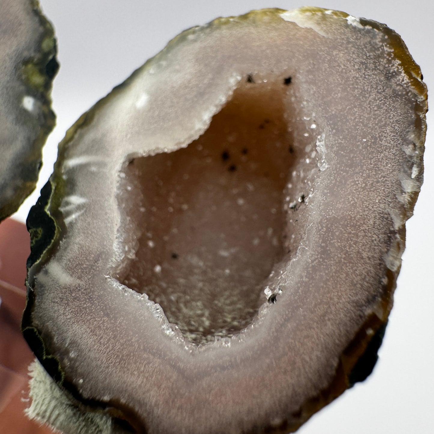 Tabasco Geode GC016