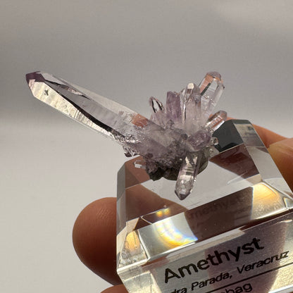 Veracruz Amethyst GC065