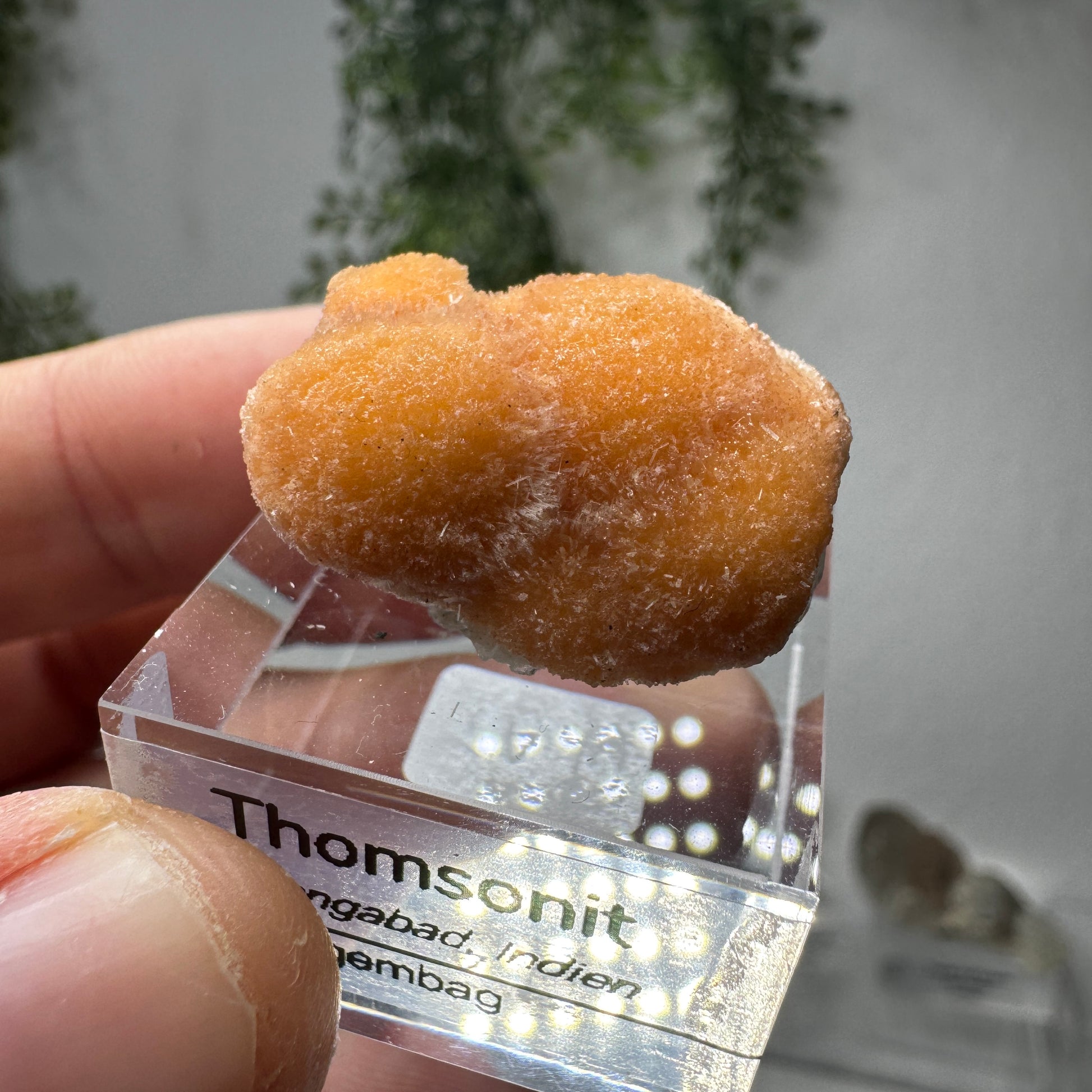 Thomsonit GL021