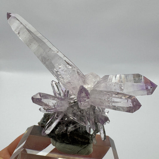 Veracruz Amethyst GC107