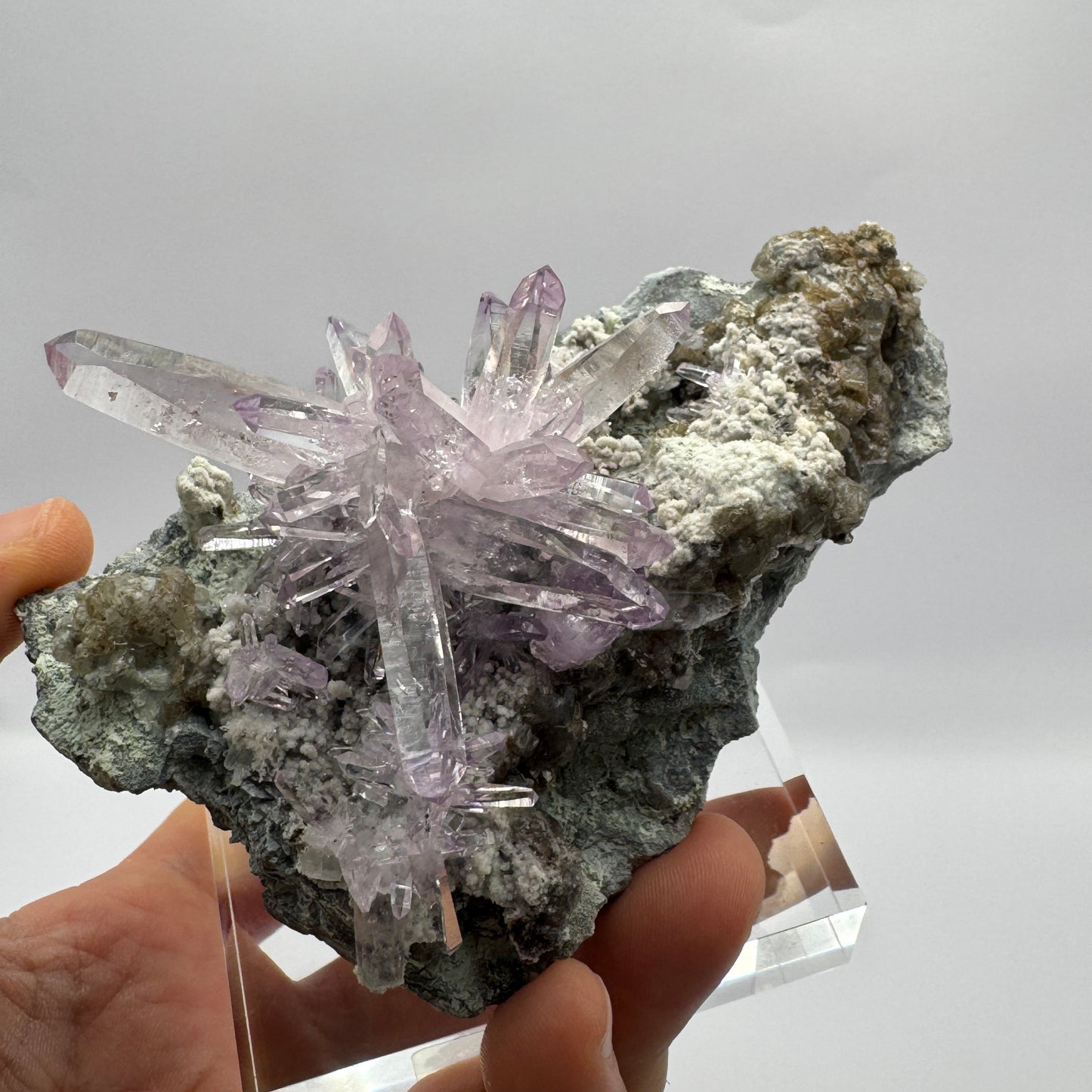 Veracruz Amethyst GC109