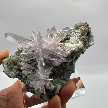 Veracruz Amethyst GC109