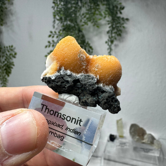 Thomsonit GL017
