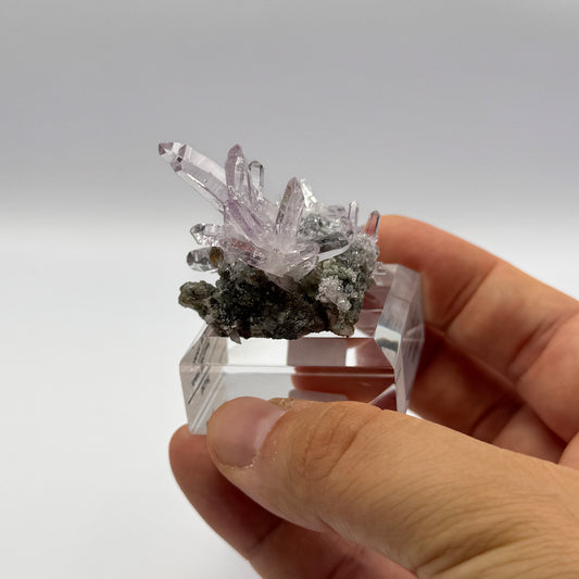 Veracruz Amethyst GC068