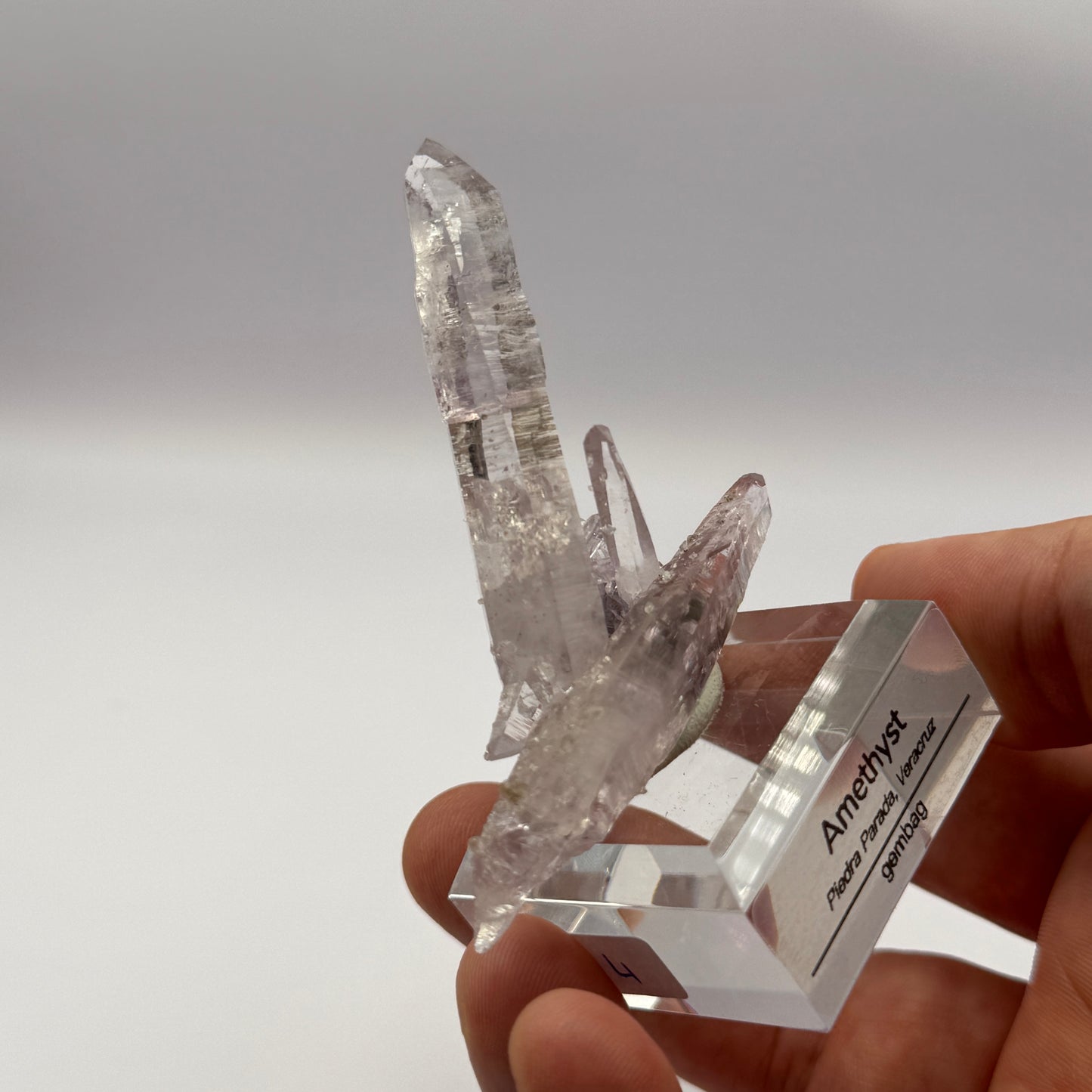 Veracruz Amethyst GC066