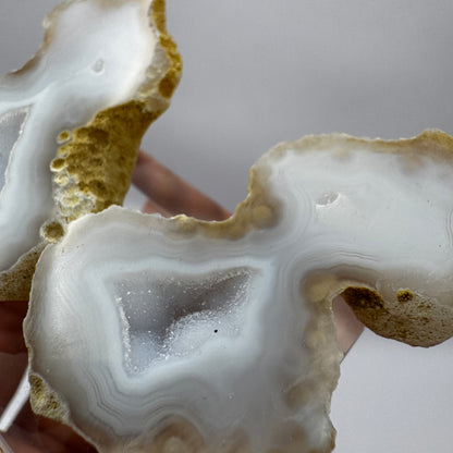 Tabasco Geode GC005