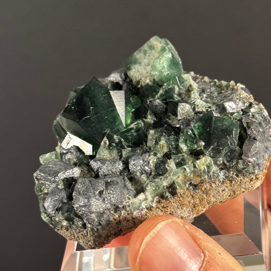 Diana Maria Fluorit GBNL06