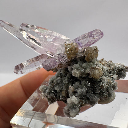 Veracruz Amethyst GC104