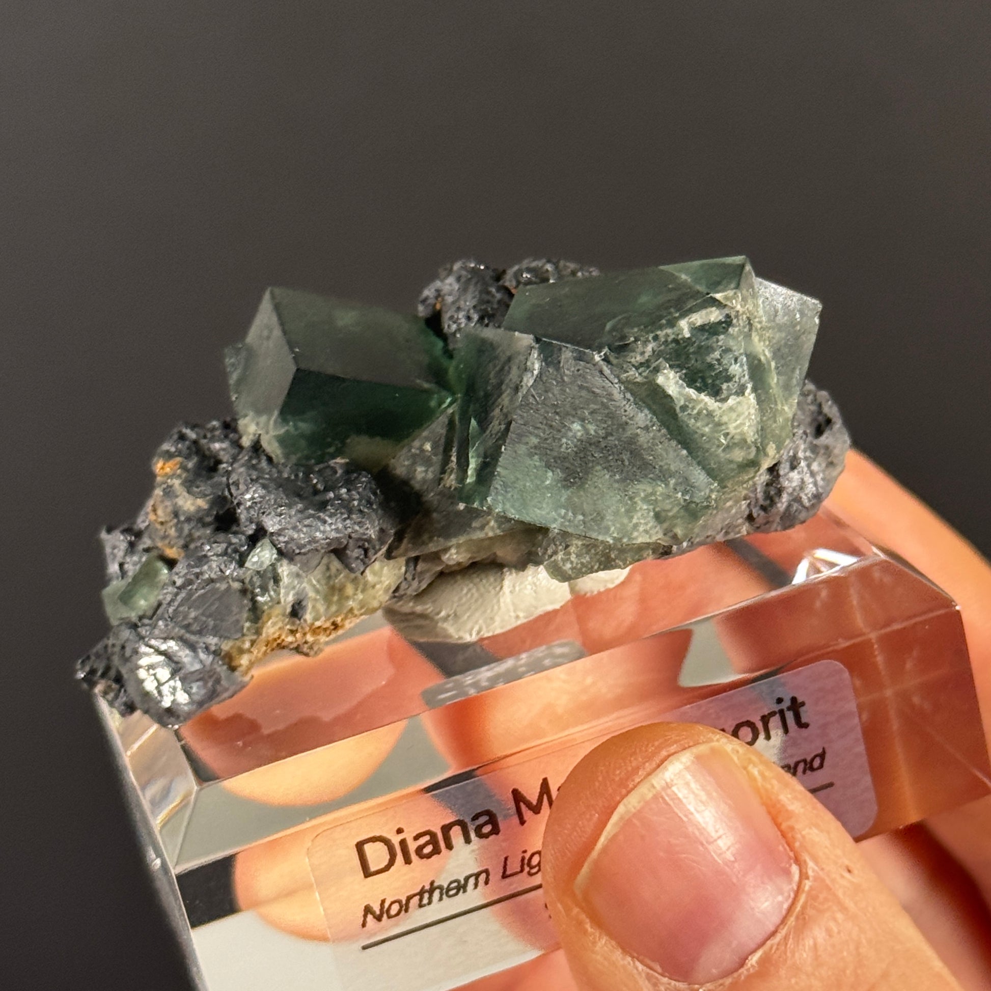 Diana Maria Fluorit GBNL03