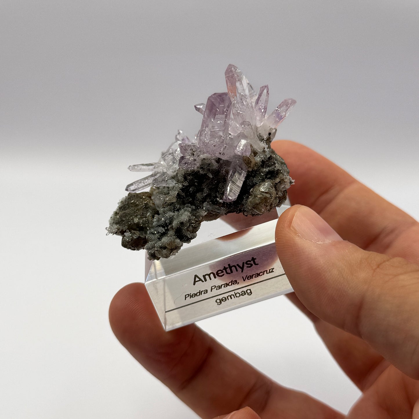Veracruz Amethyst GC068
