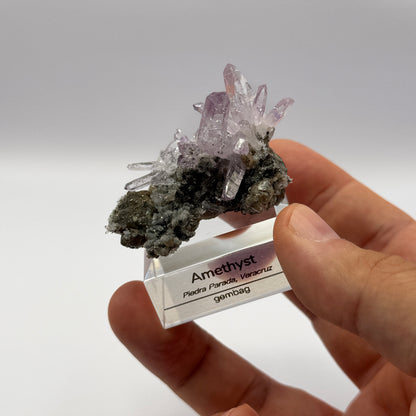 Veracruz Amethyst GC068