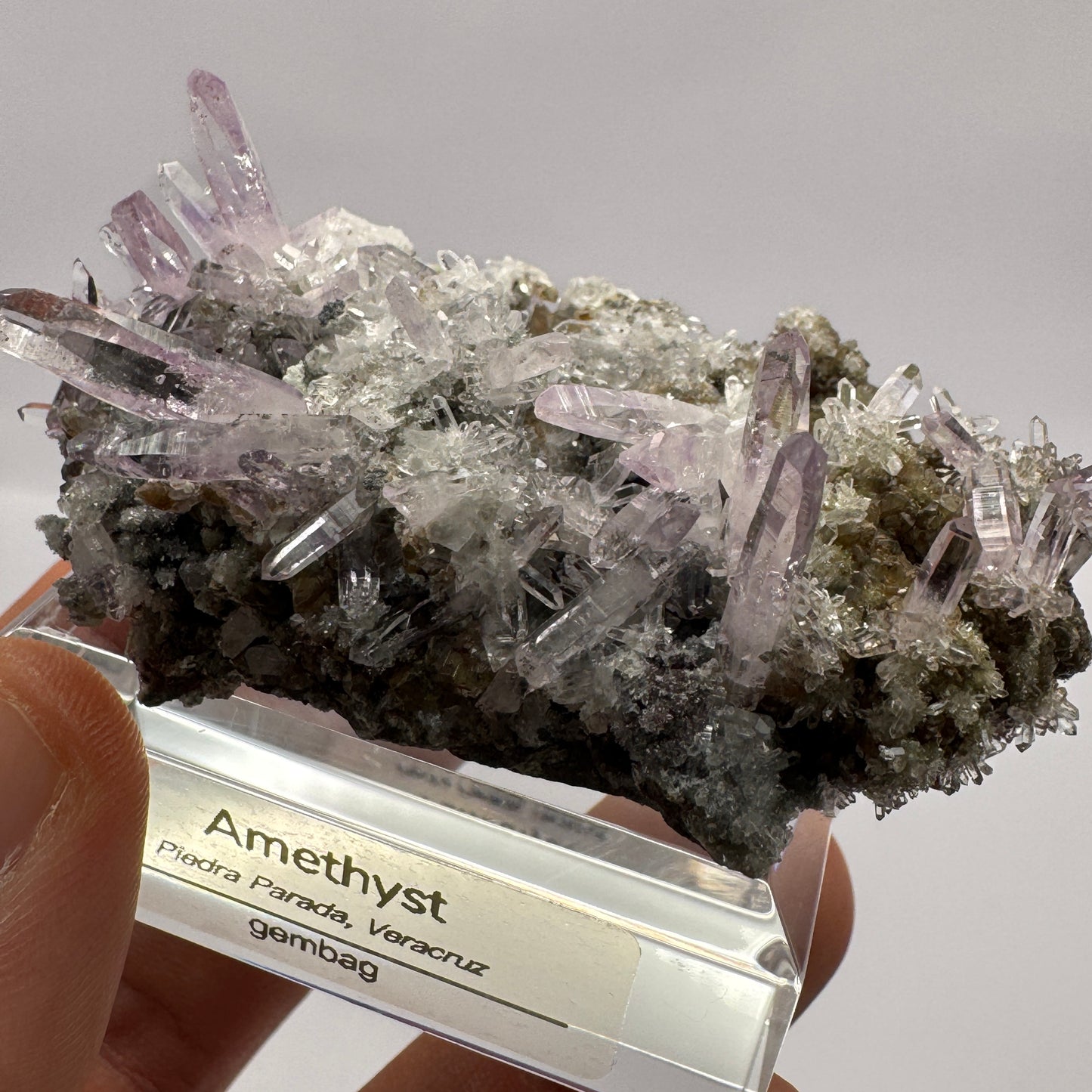 Veracruz Amethyst GC108