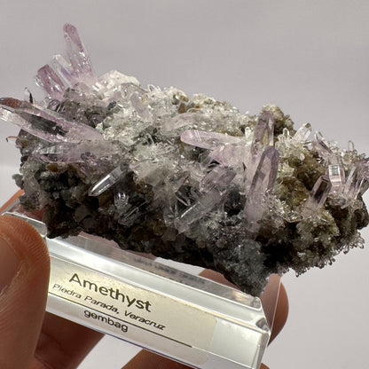Veracruz Amethyst GC108