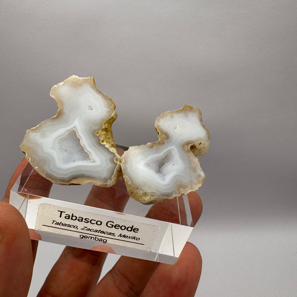 Tabasco Geode GC005