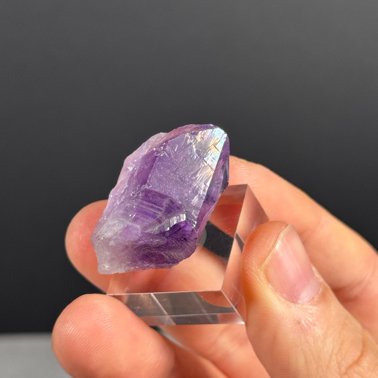 Amethystspitze GBA218