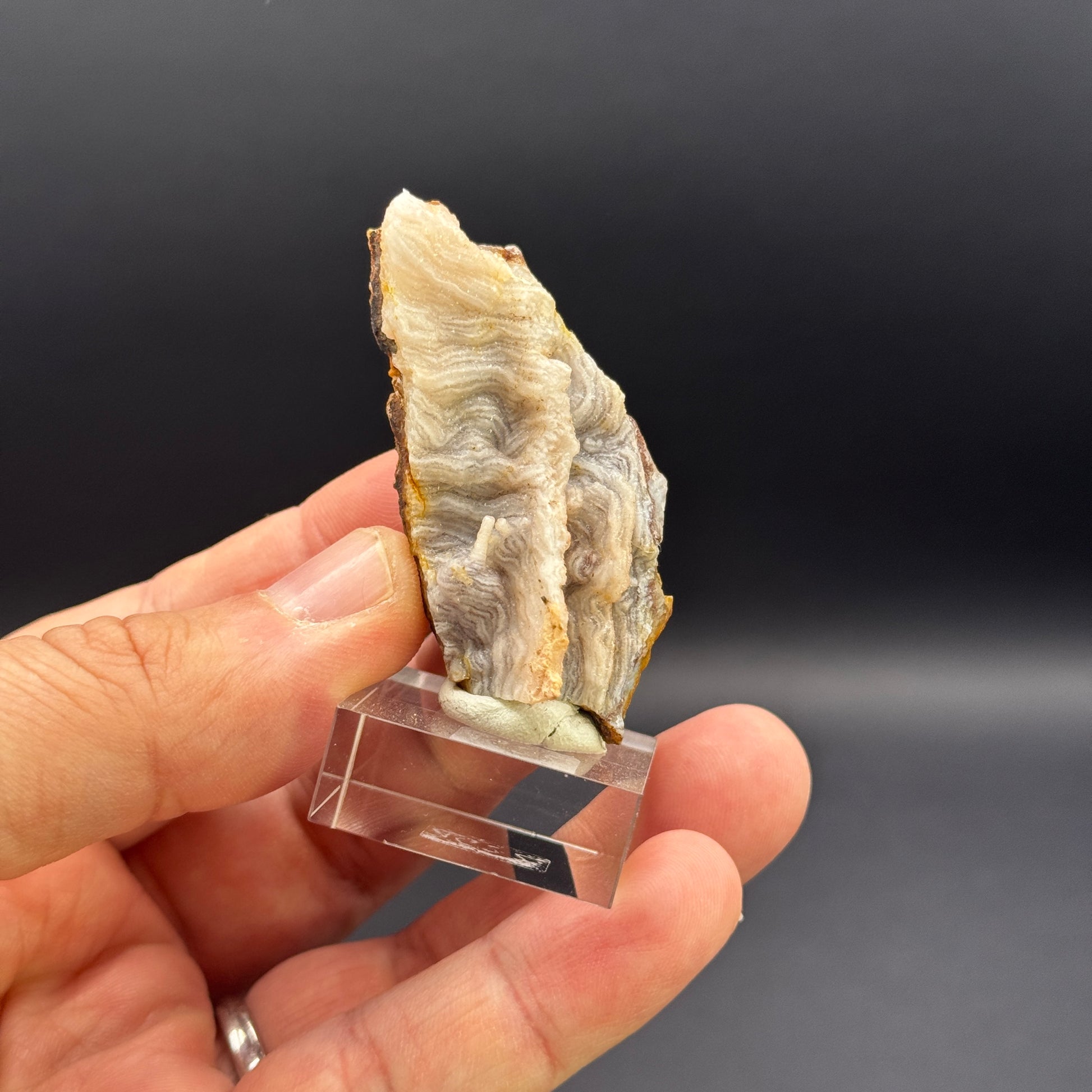Chalcedon GL087