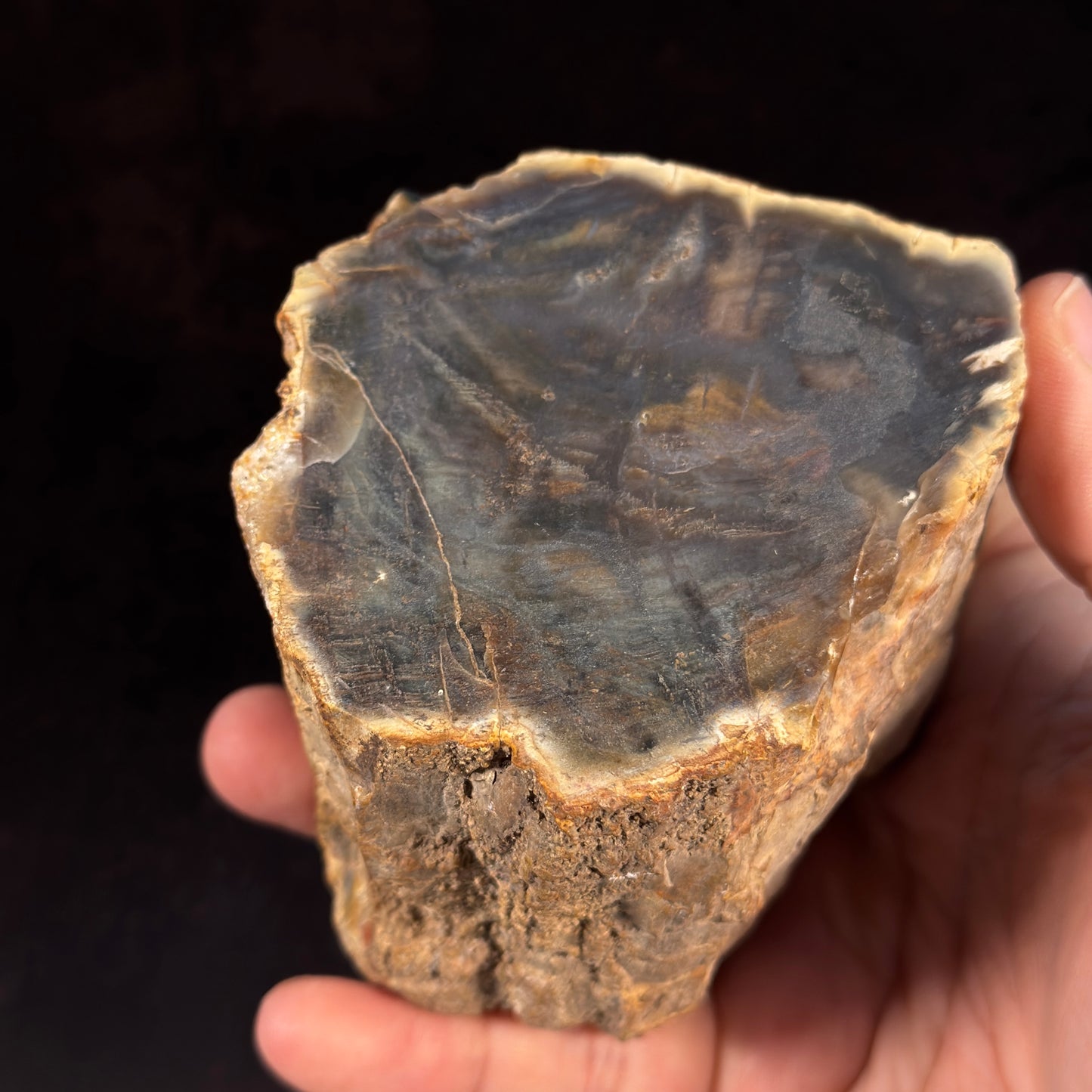 Verkiesltes Holz mit Achatkern GBA016