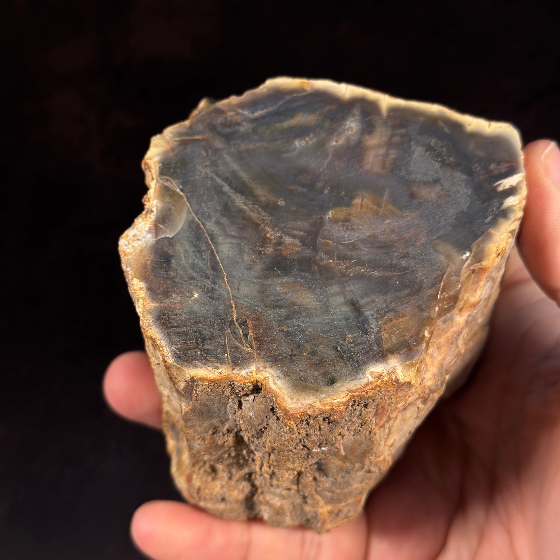 Verkiesltes Holz mit Achatkern GBA016