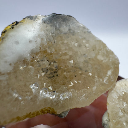 Tabasco Geode GC008