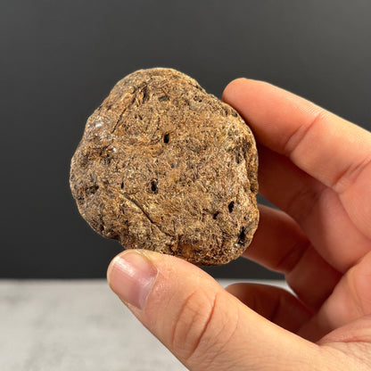 Blauer Bernstein GBR030