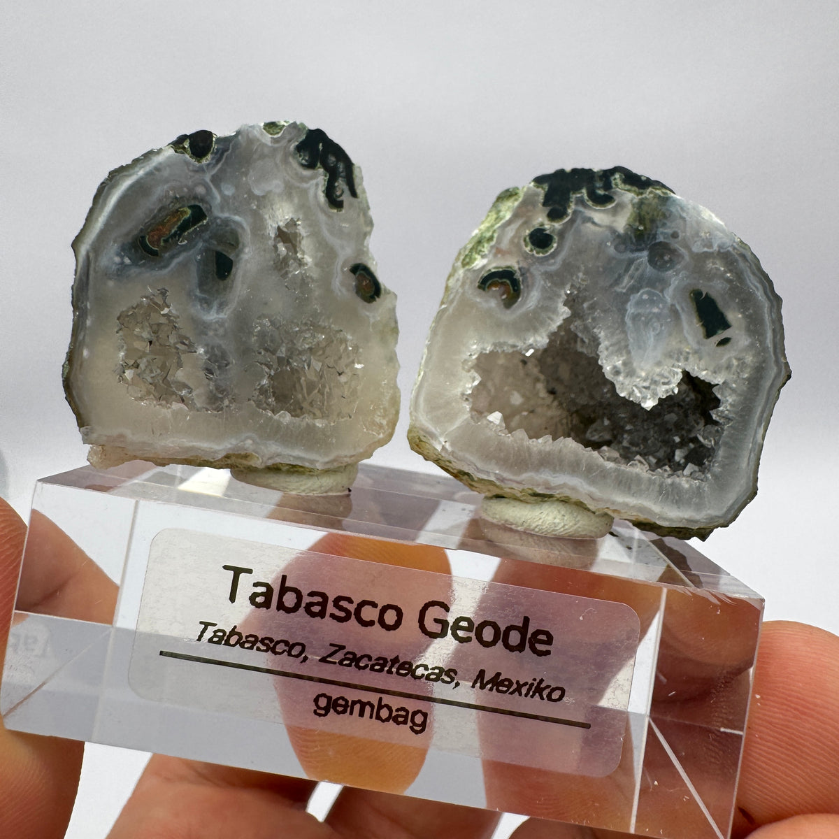 Tabasco Geode GC006