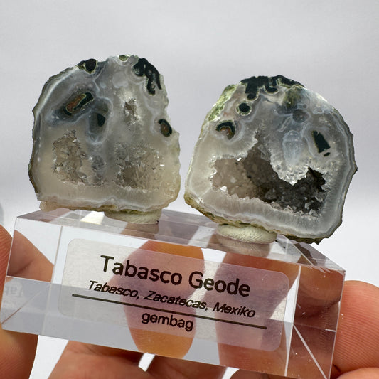 Tabasco Geode GC006