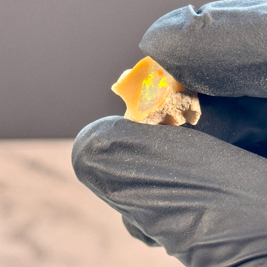 Opal - Welo Opal WAG