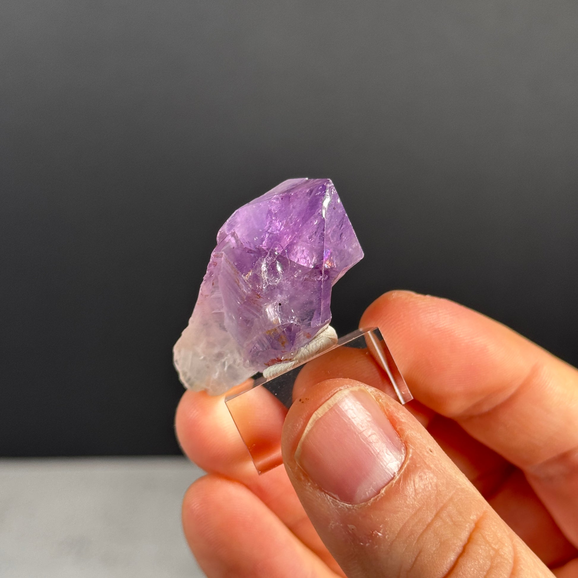 Amethystspitze GBA246